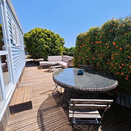 Casa Azul-Tiny House With Fantastic View, Big Outdoor Space And Pool シルヴェス エクステリア 写真