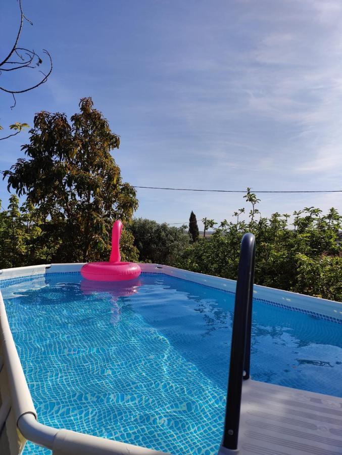 Casa Azul-Tiny House With Fantastic View, Big Outdoor Space And Pool シルヴェス エクステリア 写真